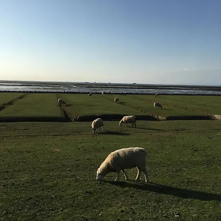 Huus Achtern Diek - 5